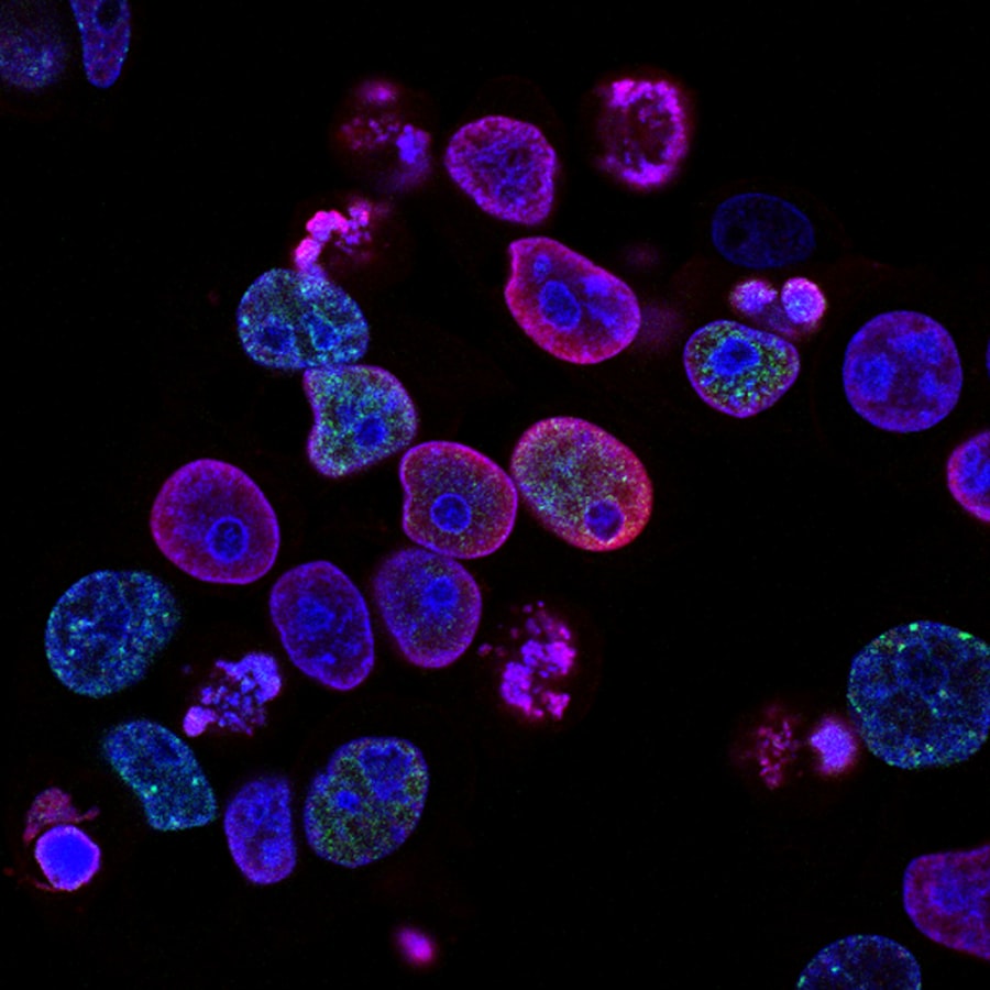 Scientific illustration of cellular metabolism and mitochondria function